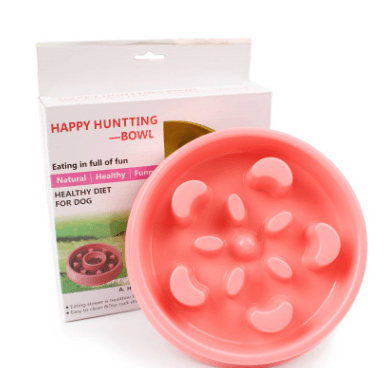 Healthy Lick & Feed Pet Bowl