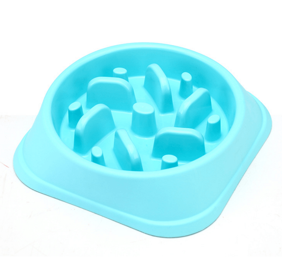 Healthy Lick & Feed Pet Bowl