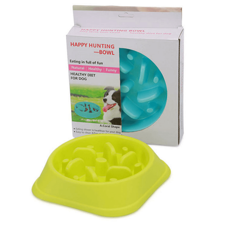 Healthy Lick & Feed Pet Bowl